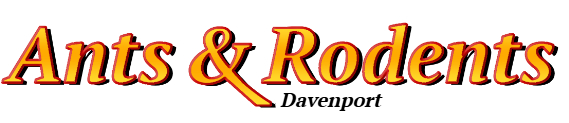 Davenport Ant Exterminator & Rodent Control Company Logo